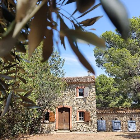 Mazet Du Chateau Joyeux De Violet Pépieux Exterior foto